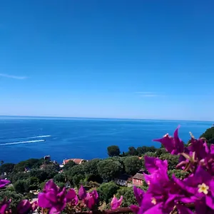 Azur , Cap-d'Ail France